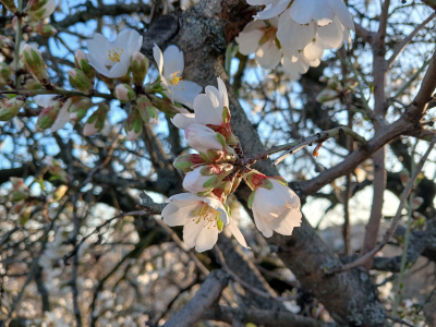 library Festetics Palace Keszthely Hungary