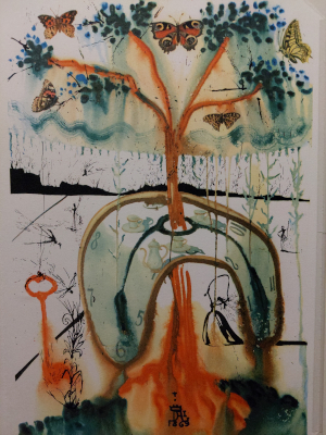 Salavdor Dalí Alíz Csodaországban illusztráció