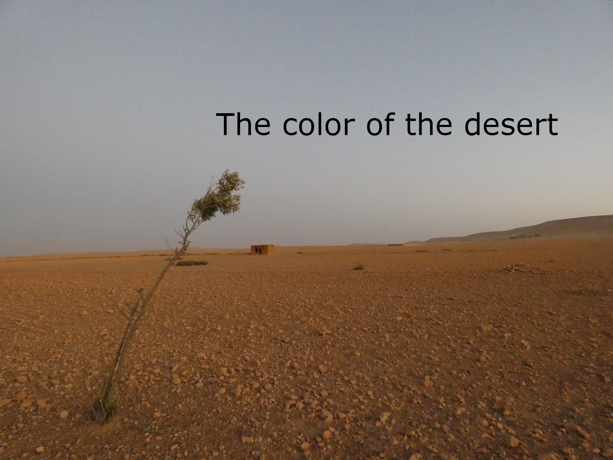 Anna Somfai: Marrakesh Stories